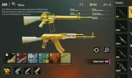 ak皮肤爆料最新消息是真的吗,ak皮肤消息真实性揭秘